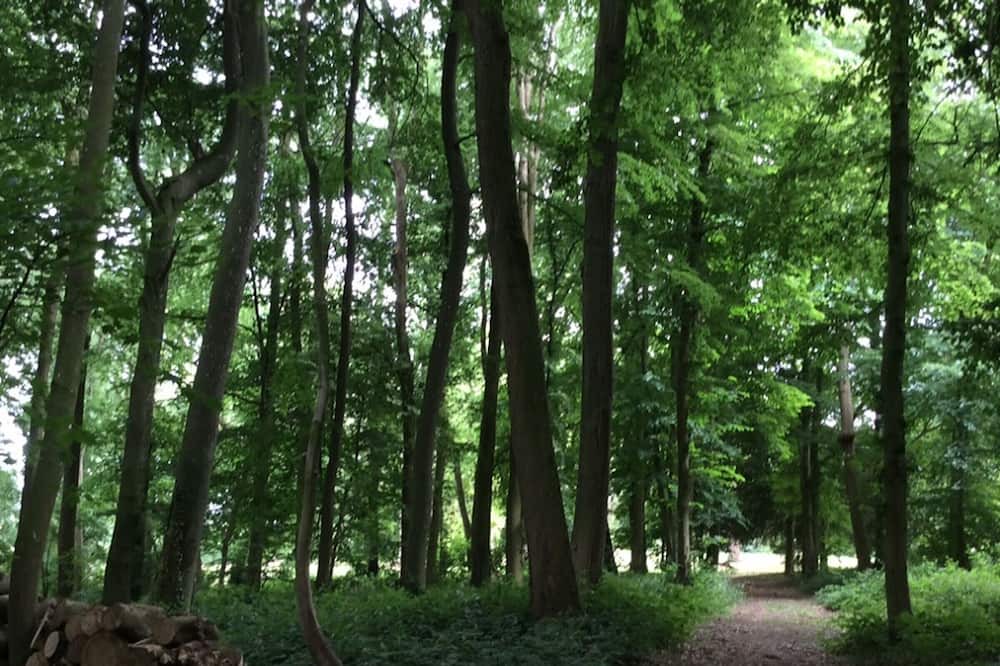 Photo of Others in Walincourt-Selvigny