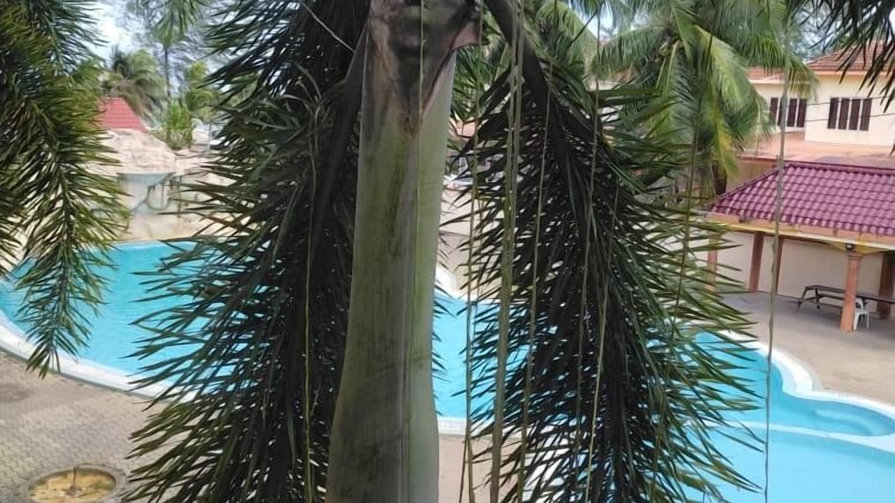 Photo of Others in Batu Buruk