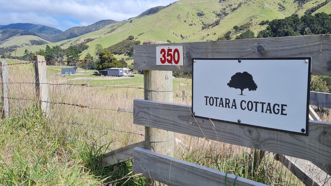 Photo of Outdoor in Wairarapa