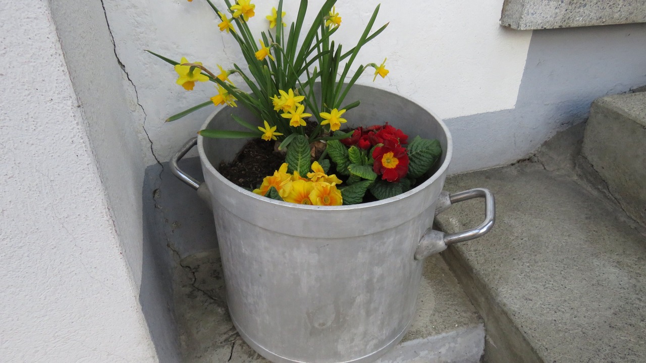 Photo of Outdoor in Hünibach