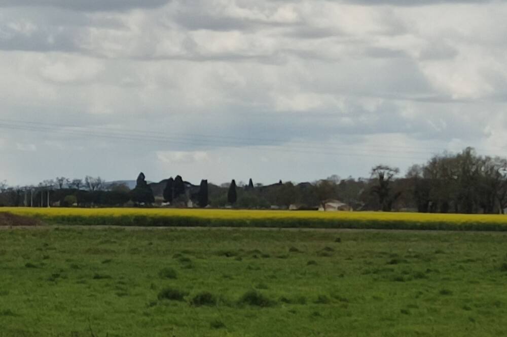 Photo of Outdoor in Peyssies