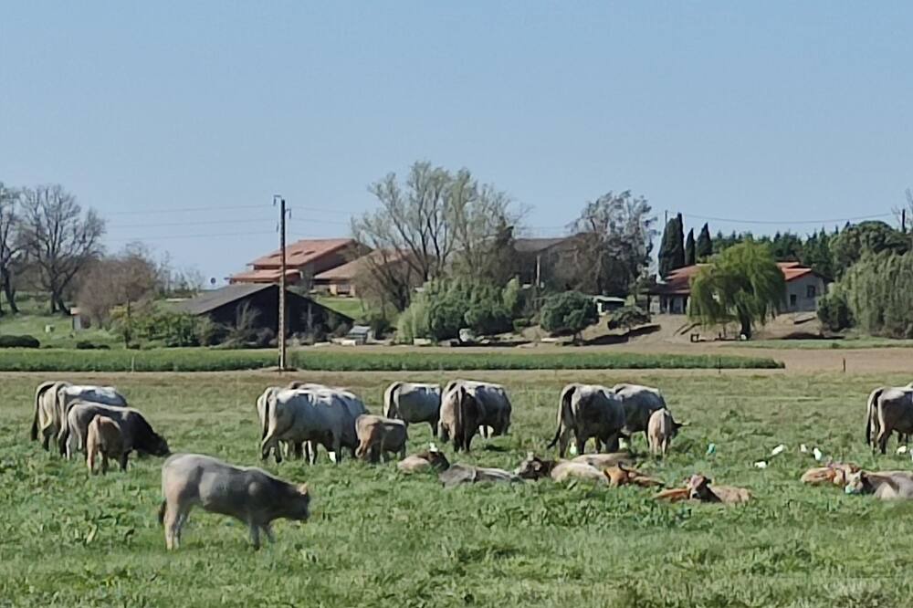 Photo of Outdoor in Peyssies