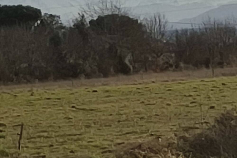 Photo of Outdoor in Peyssies