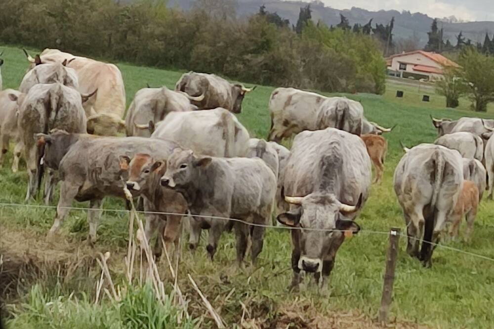Photo of Outdoor in Peyssies