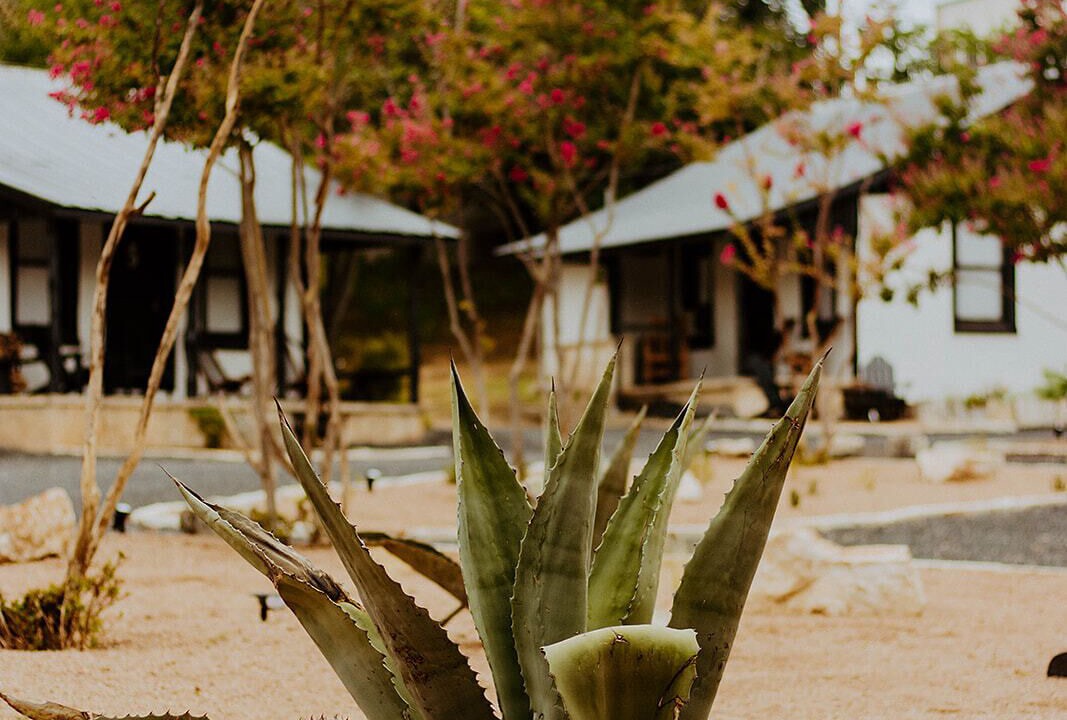 Photo of Outdoor in Bandera