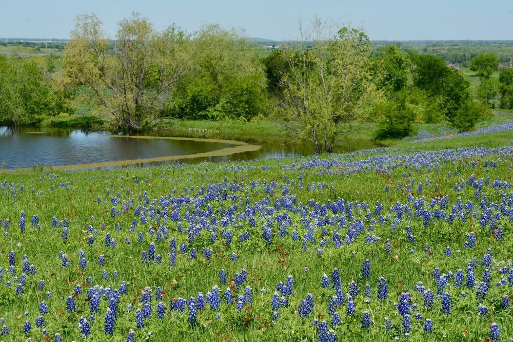 Photo of Outdoor in Ennis