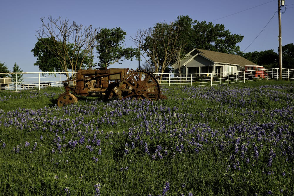 Photo of Outdoor in Ennis