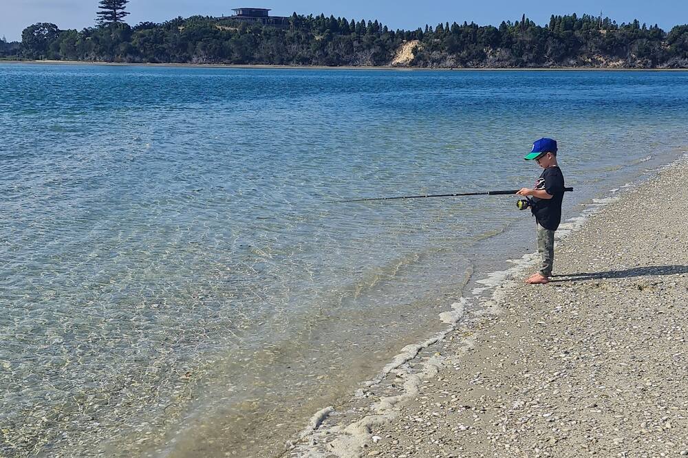 Photo of Others in Pukenui