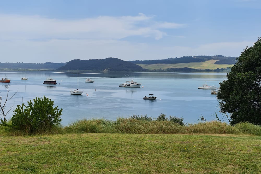 Photo of Others in Pukenui