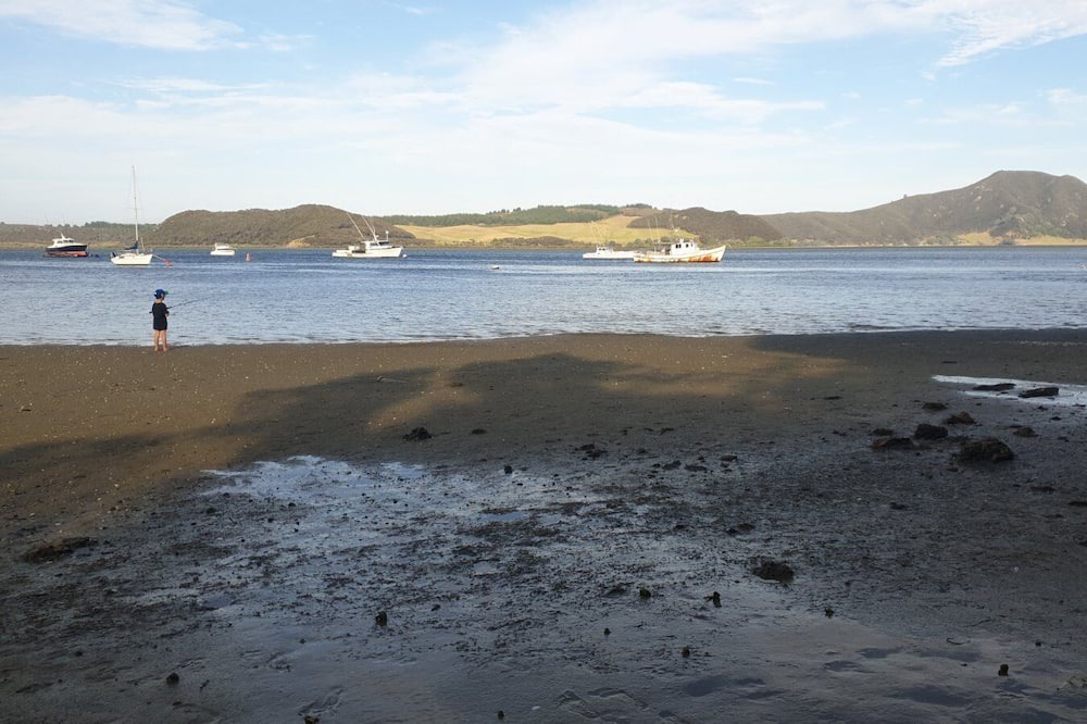 Photo of Others in Pukenui