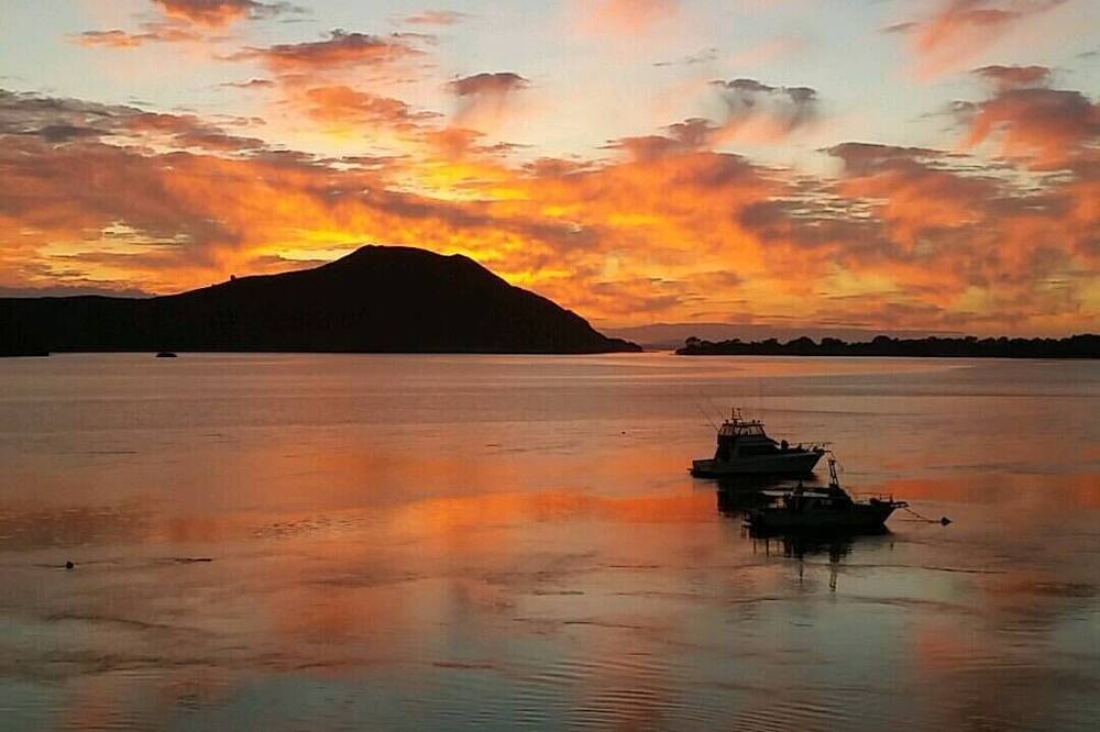 Photo of Others in Pukenui