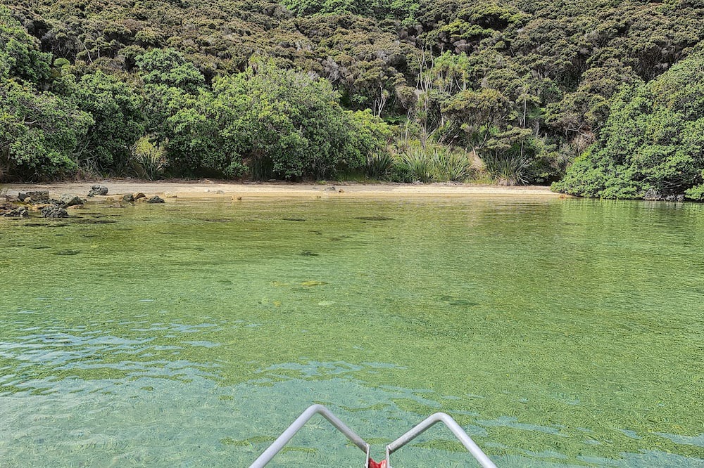 Photo of Others in Pukenui