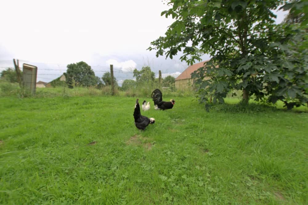 Photo of Outdoor in Cussangy