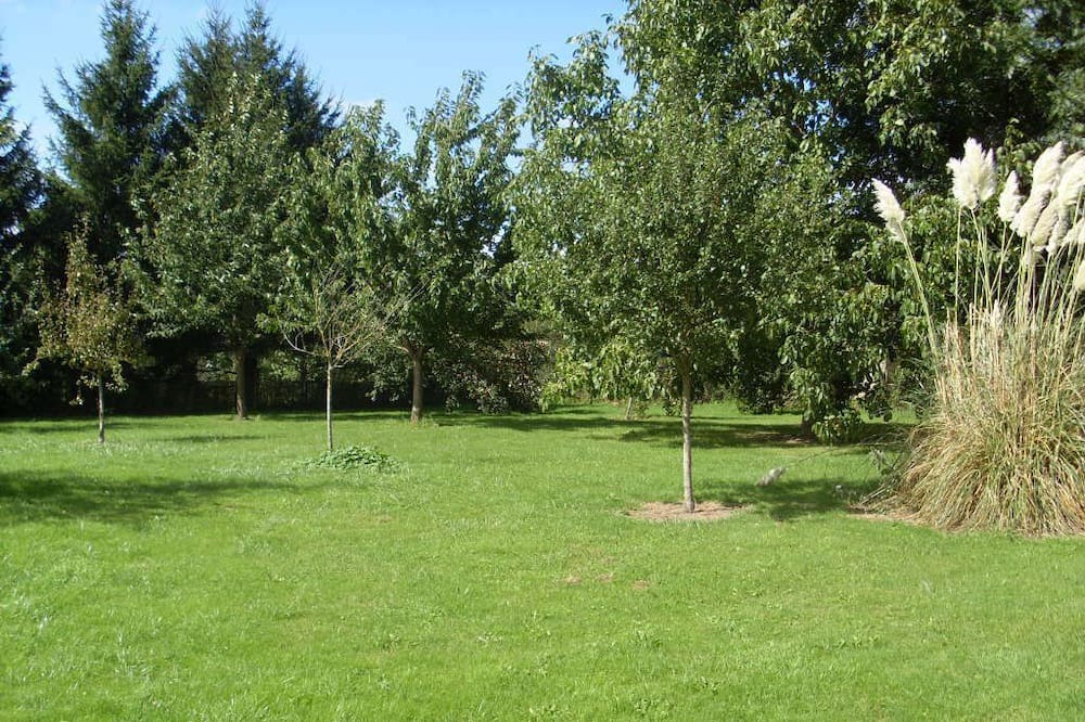 Photo of Outdoor in Cussangy