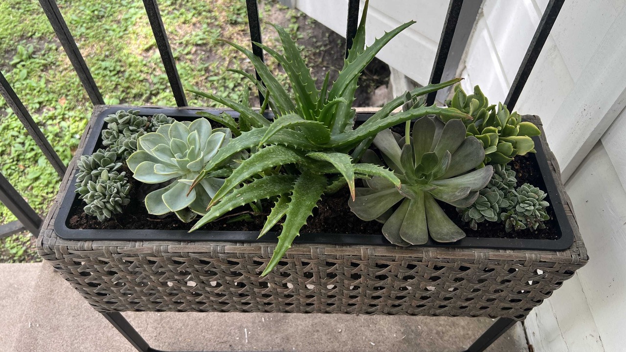 Photo of Outdoor in Del Mar