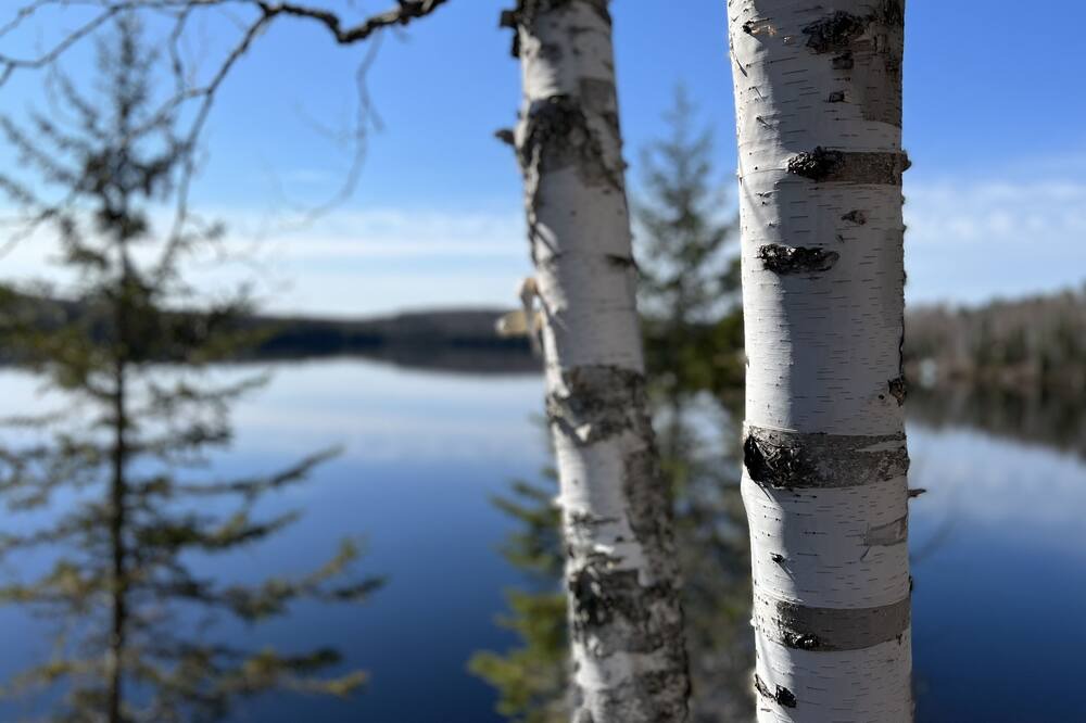 Photo of Others in Lake St. Peter