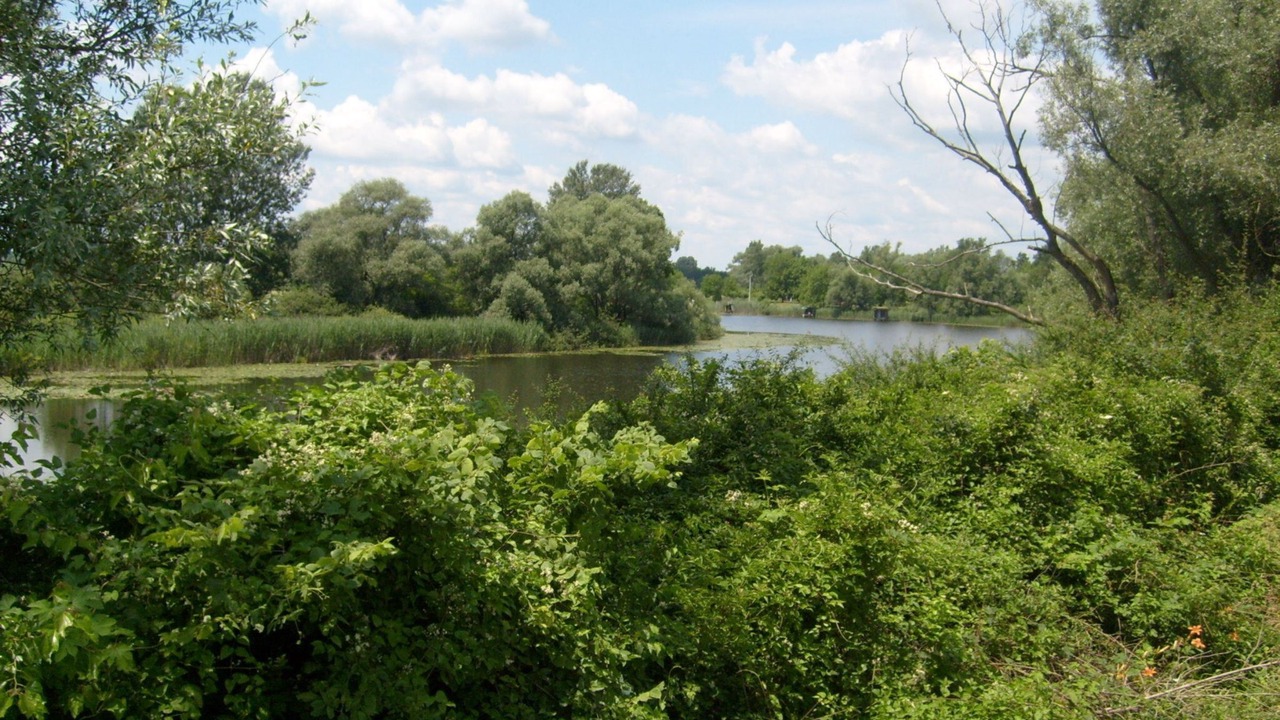 Photo of Outdoor in Inland Croatia