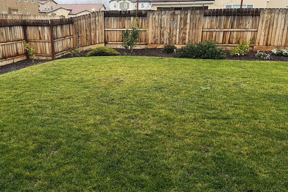 Photo of Outdoor in Clovis