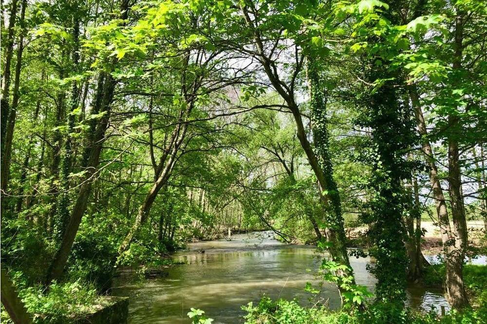 Photo of Outdoor in Gy-les-Nonains