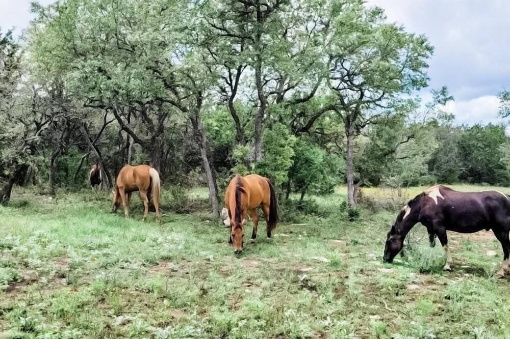 Photo of Others in Marble Falls