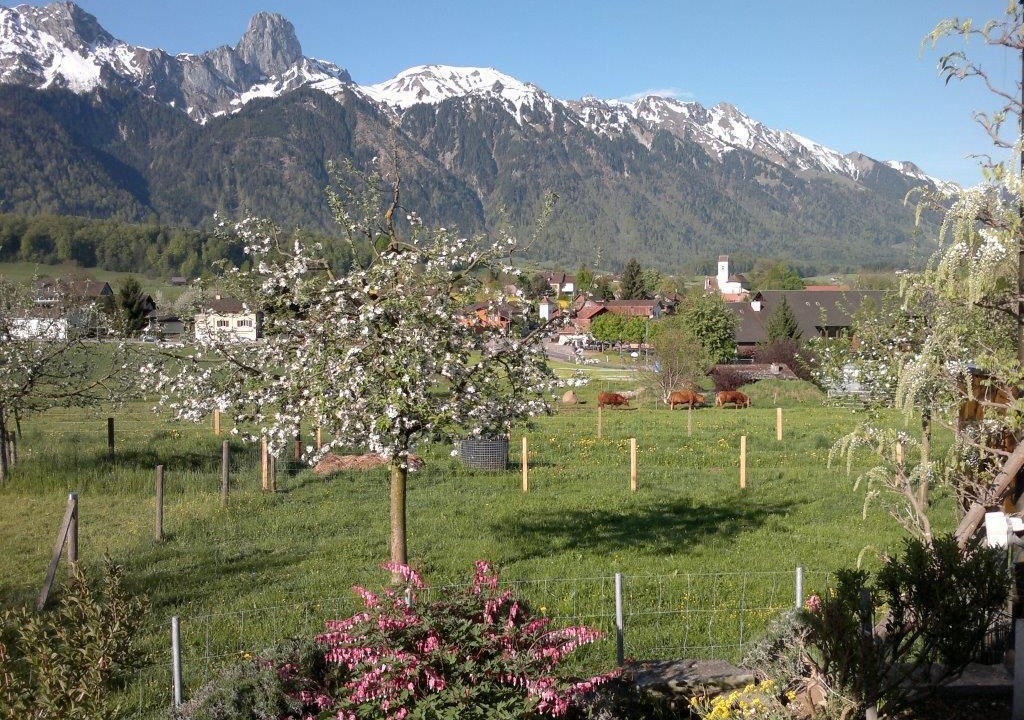 Photo of Outdoor in Amsoldingen