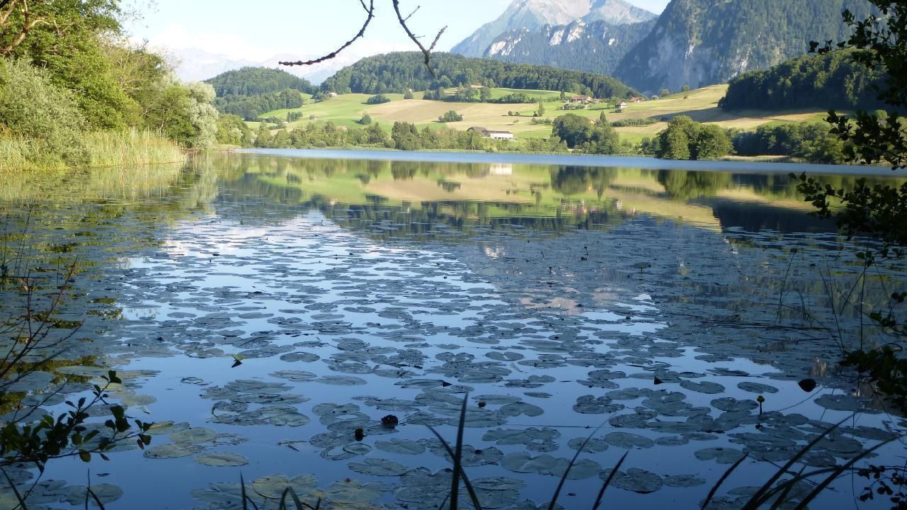 Photo of Others in Amsoldingen