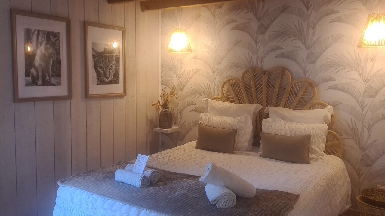 Photo of Bedroom in Asques
