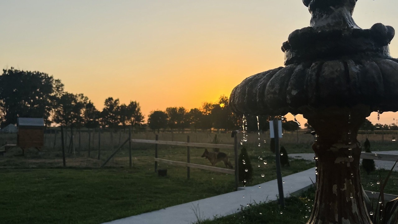 Photo of Outdoor in Asques