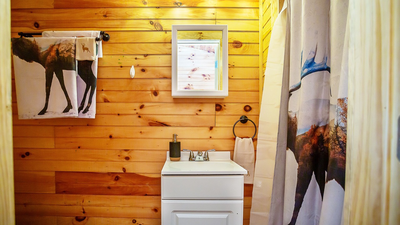 Photo of Bathroom in Benton