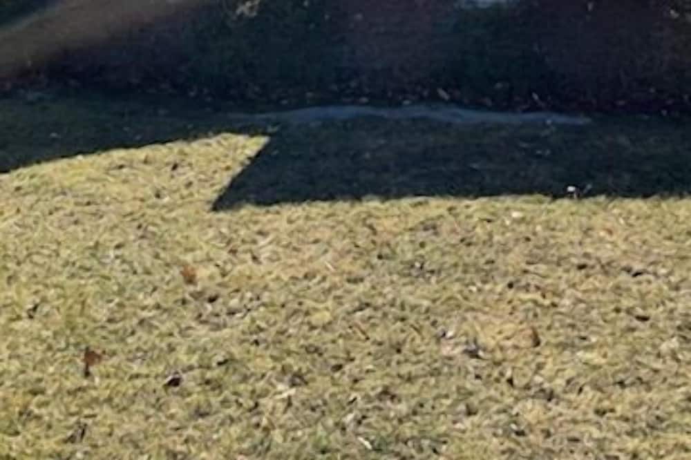 Photo of Others in Vernon