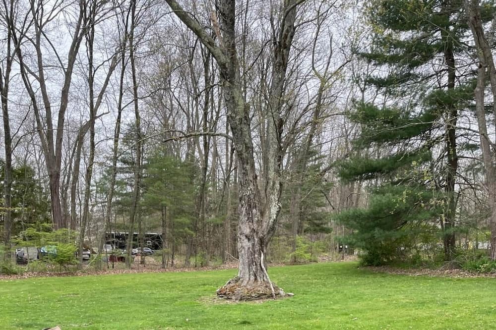 Photo of Others in Vernon