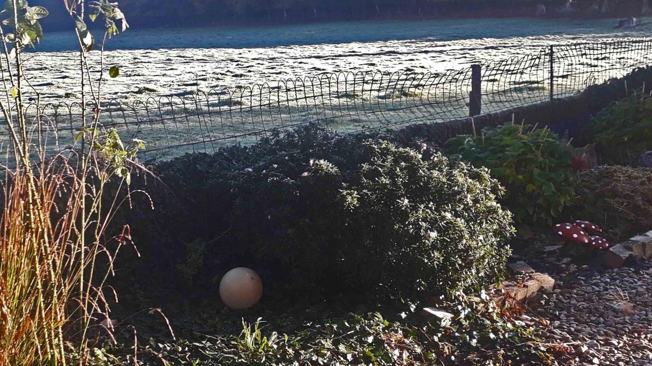 Photo of Others in Dompierre