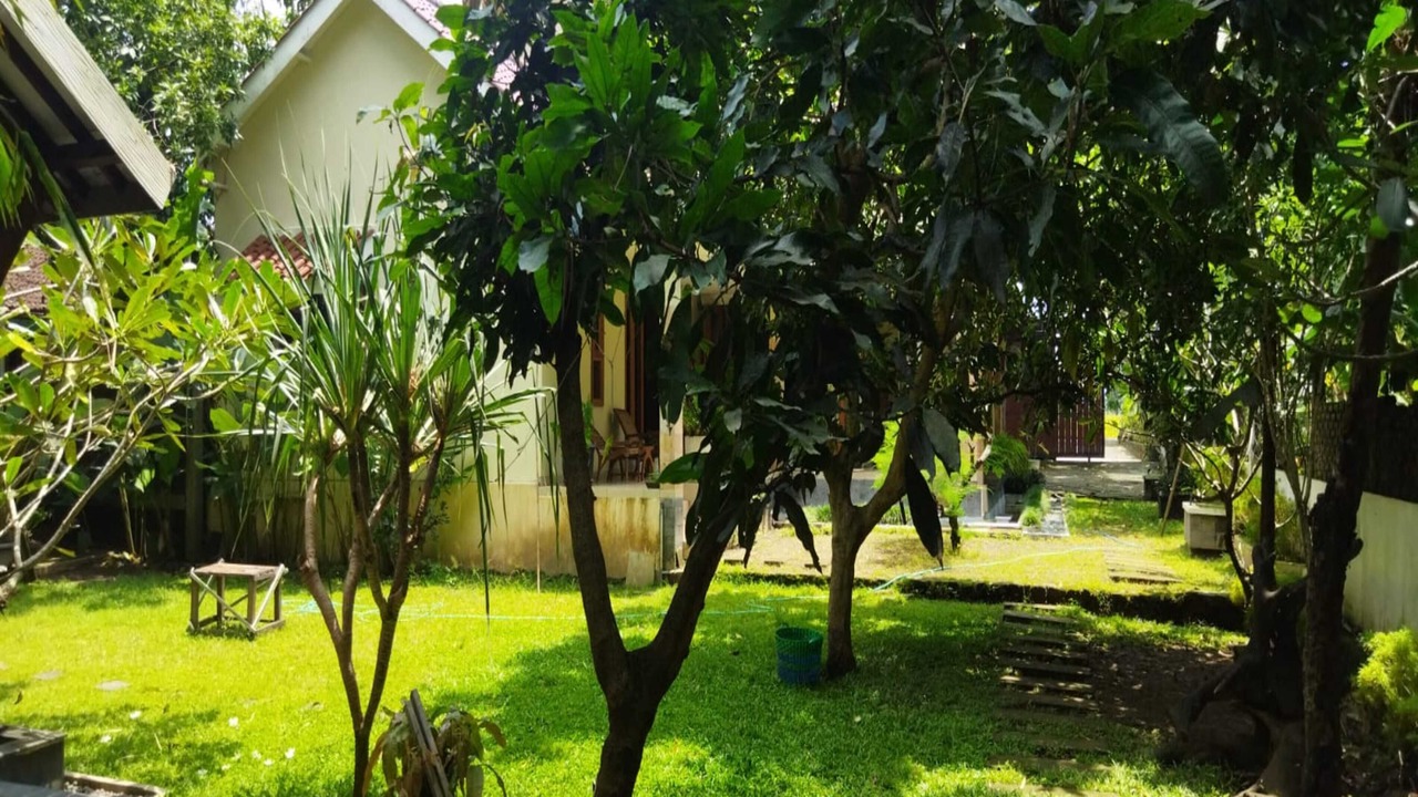 Photo of Outdoor in Sewon