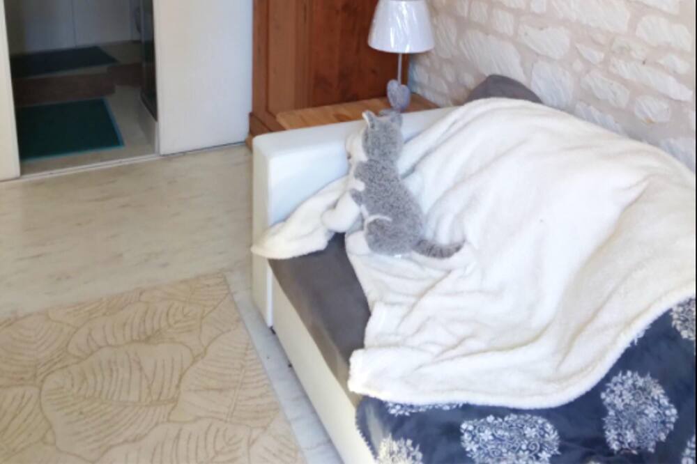 Photo of Bedroom in Courchamps