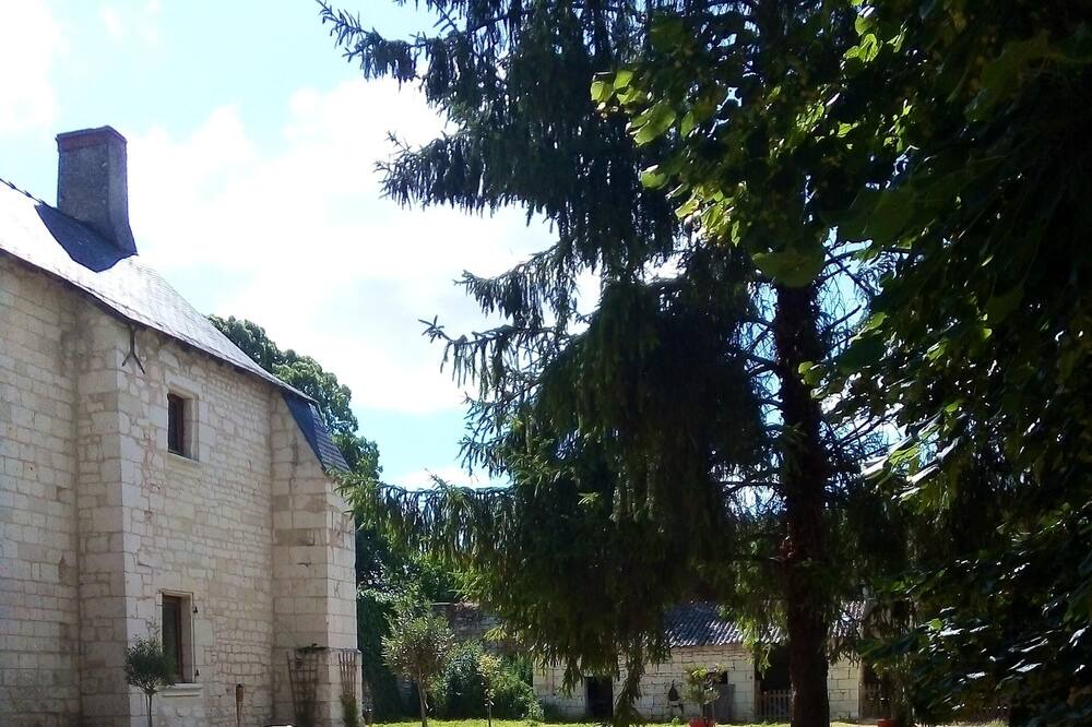 Photo of Outdoor in Courchamps