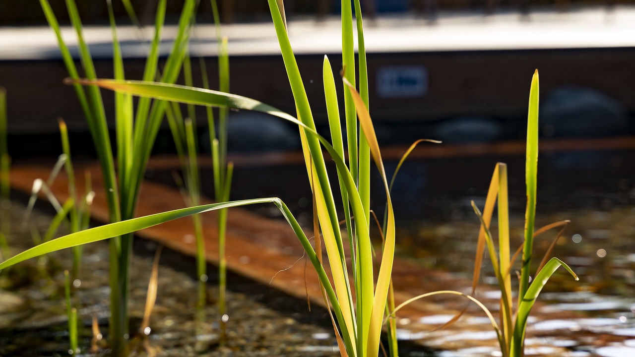 Photo of Outdoor in Andernos-les-Bains