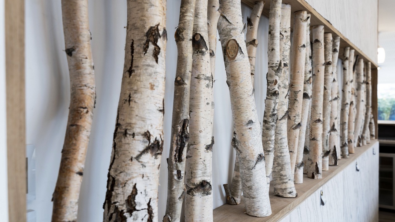 Photo of Others in Andernos-les-Bains