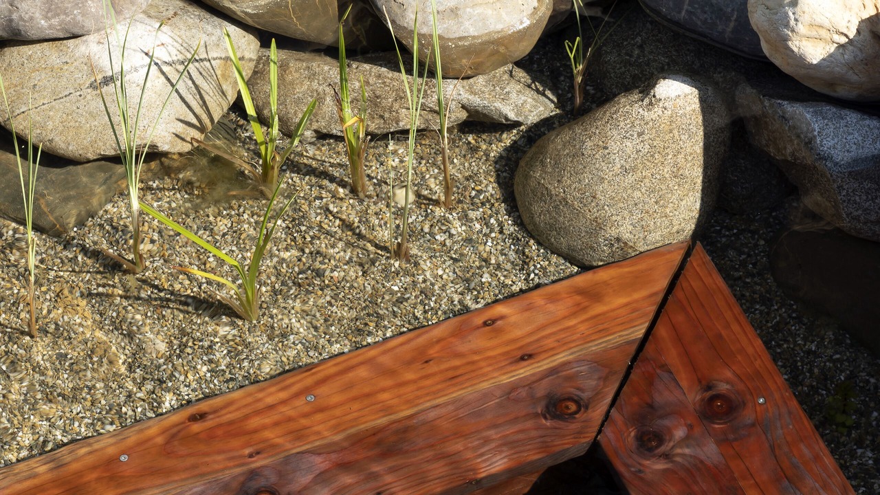 Photo of Outdoor in Andernos-les-Bains