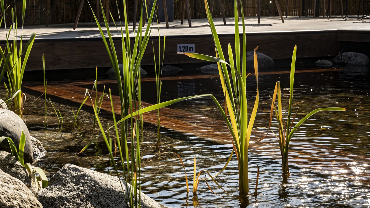Photo of Outdoor in Andernos-les-Bains