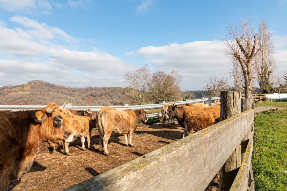 Photo of Outdoor in Beyrie-sur-Joyeuse
