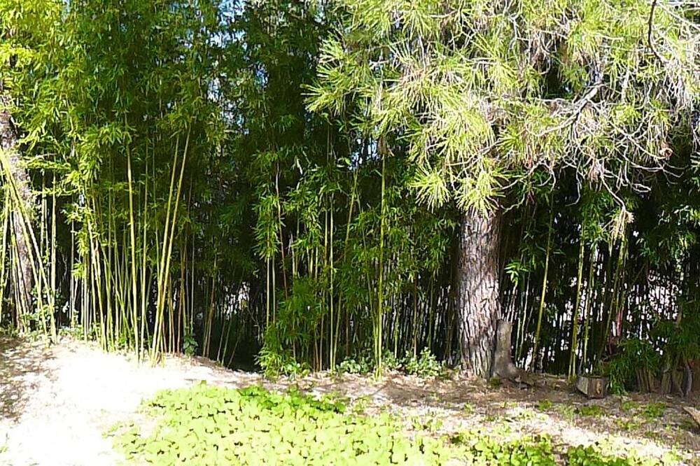 Photo of Outdoor in Cardet