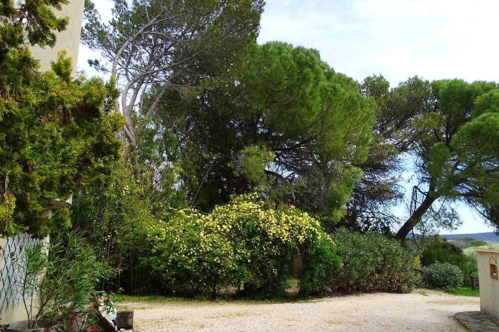 Photo of Outdoor in Cardet