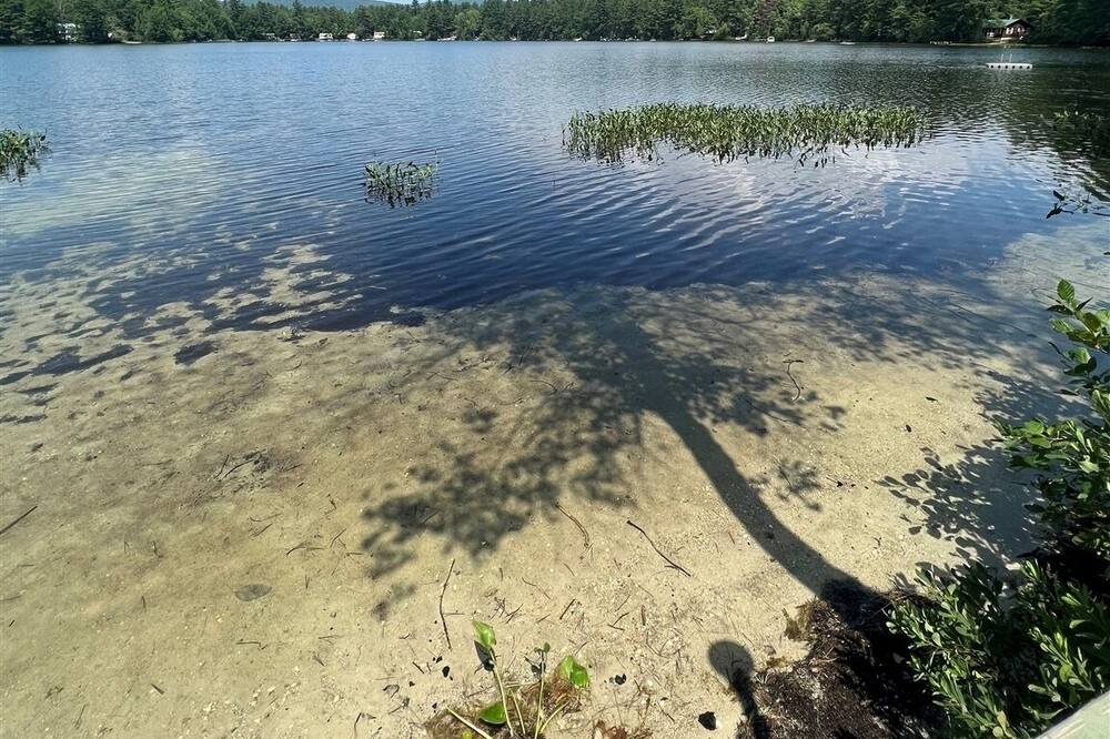 Photo of Others in East Baldwin