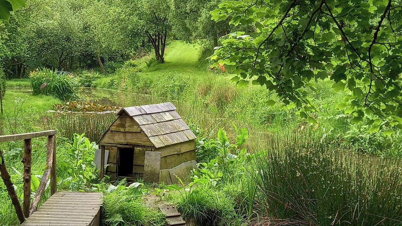 Photo of Outdoor in Bradworthy