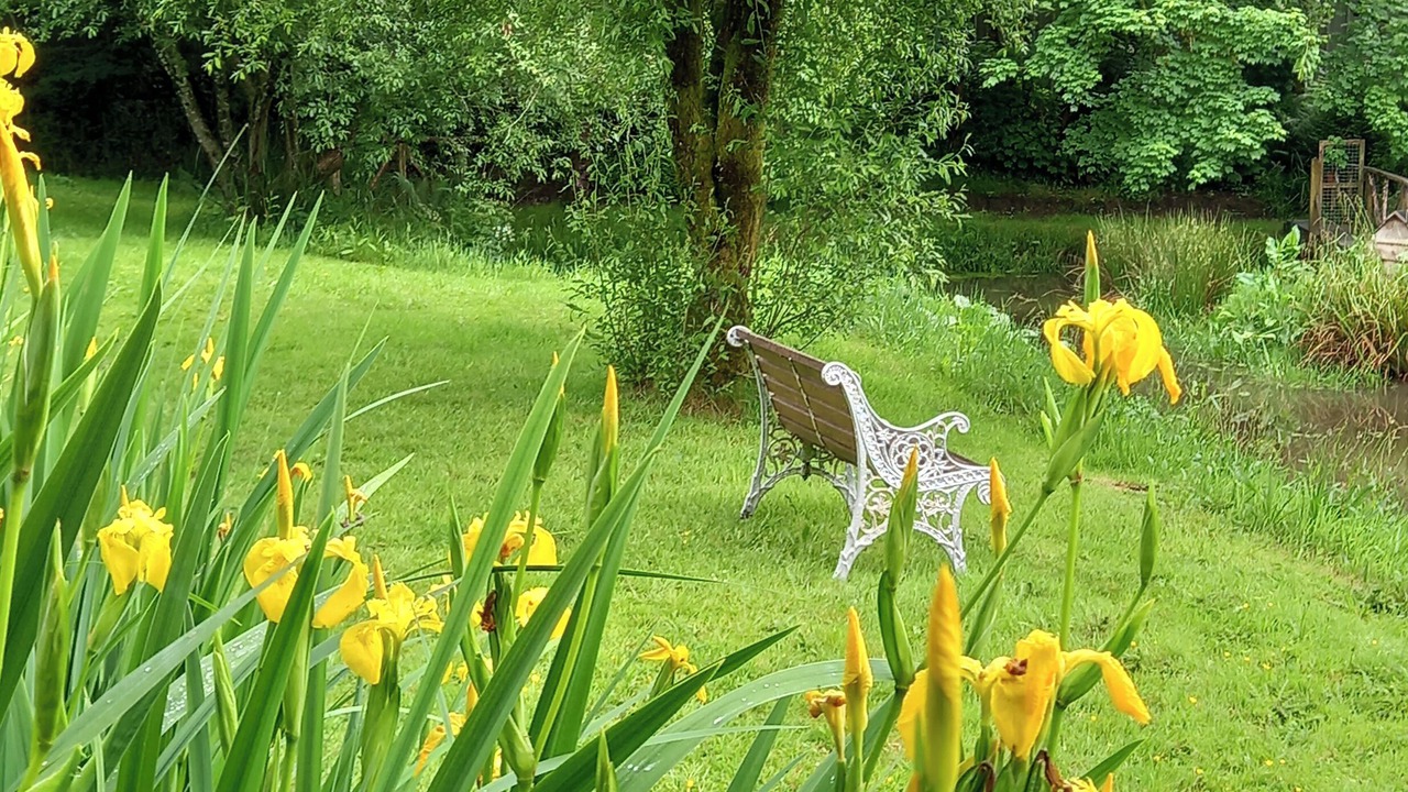 Photo of Outdoor in Bradworthy