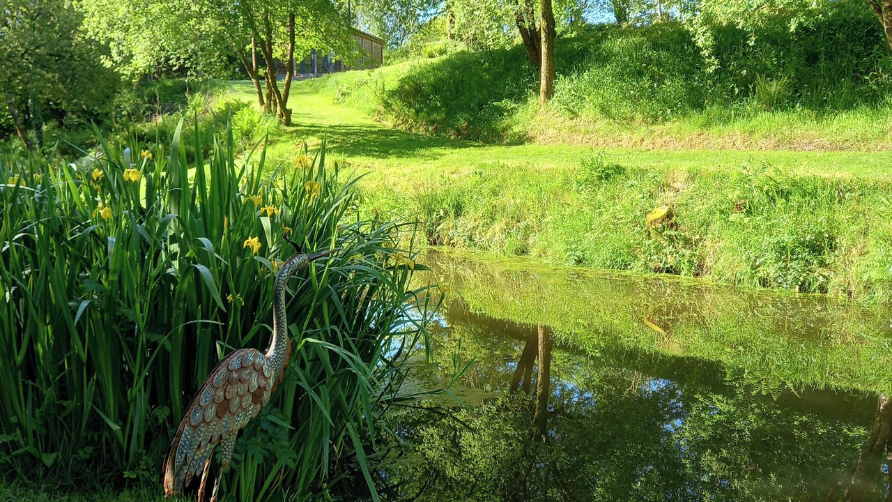 Photo of Outdoor in Bradworthy