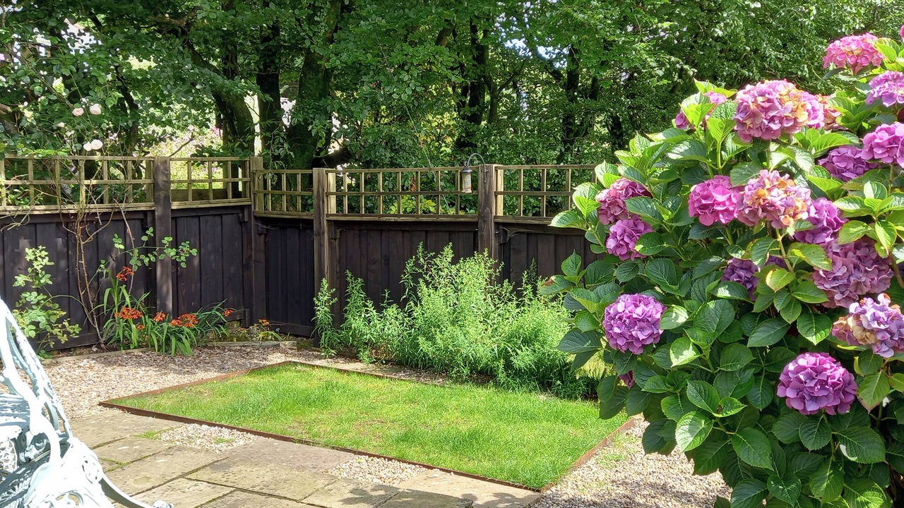 Photo of Outdoor in Bradworthy