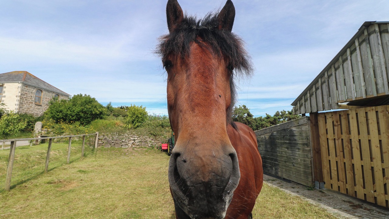 Photo of Others in Helford Passage