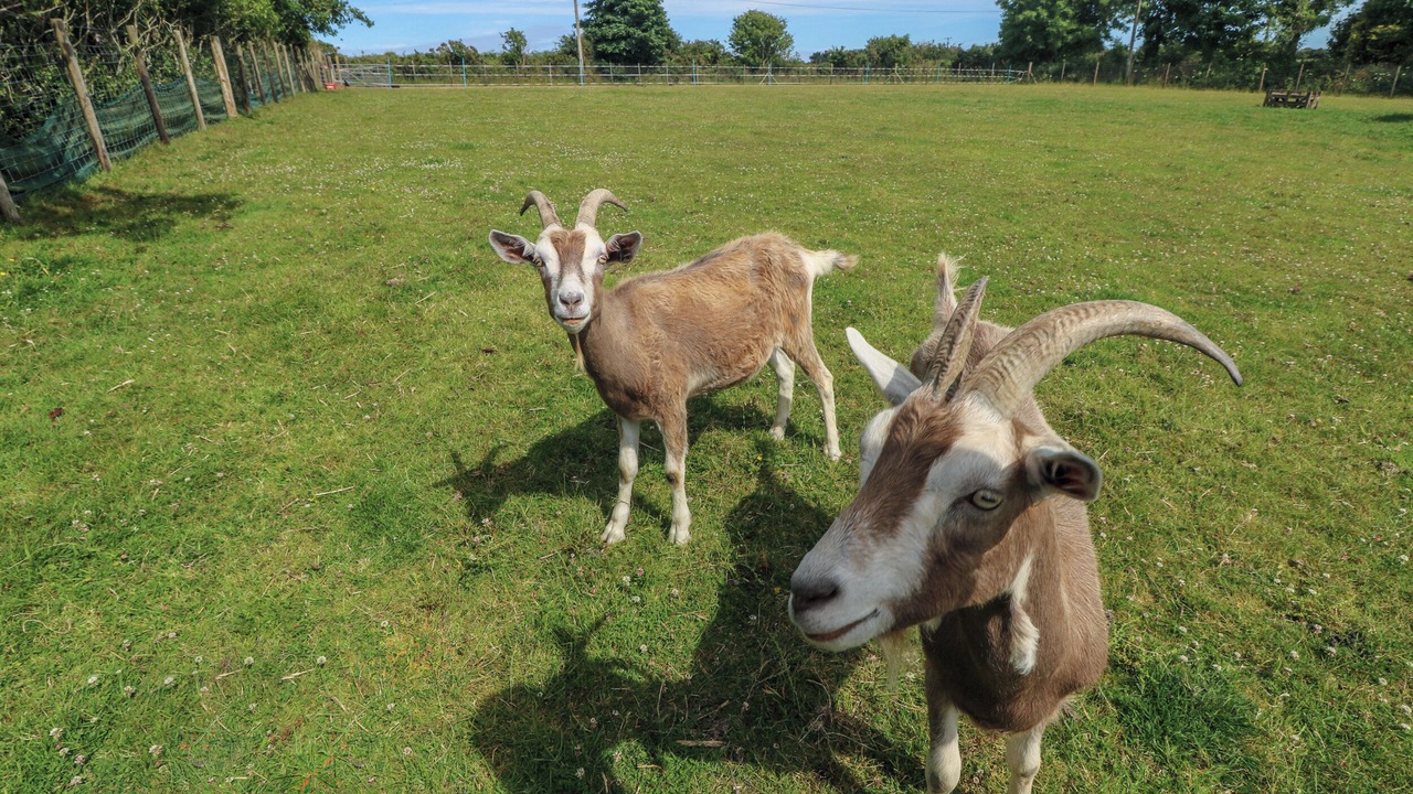 Photo of Others in Helford Passage