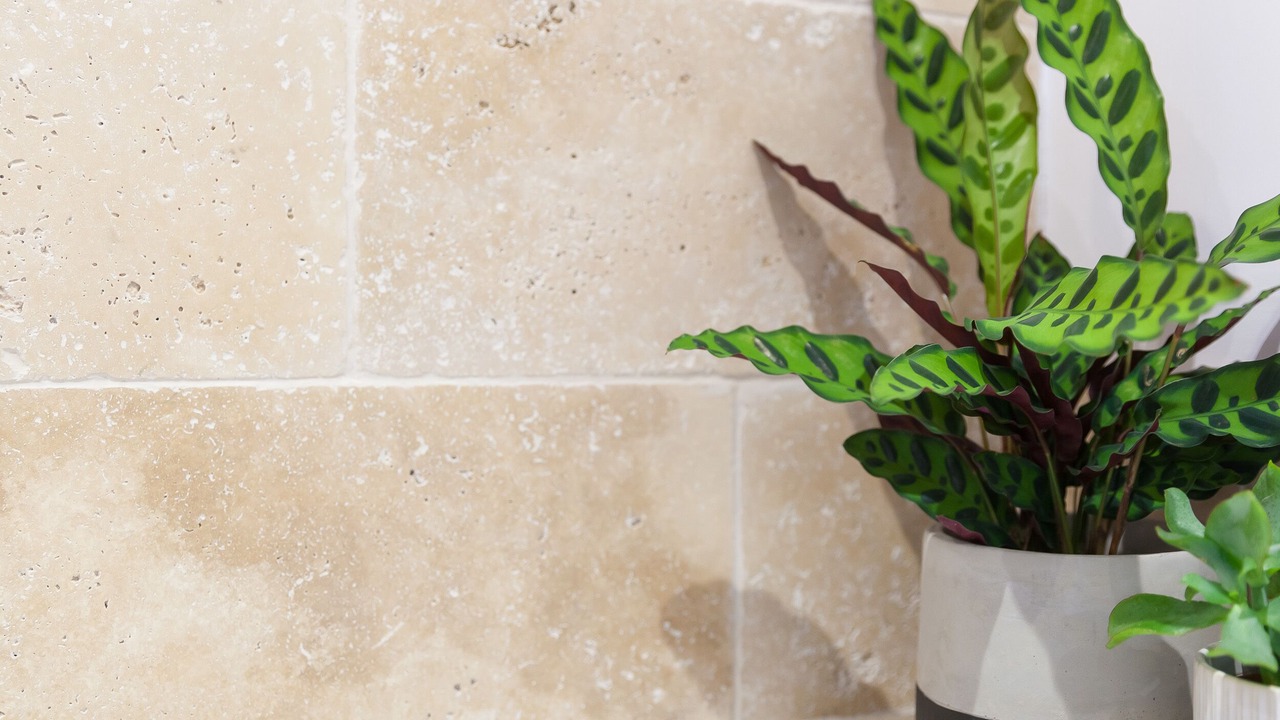 Photo of Others in Helford Passage